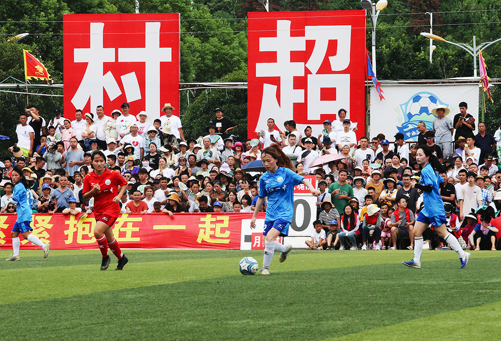 内的队友 内的队友